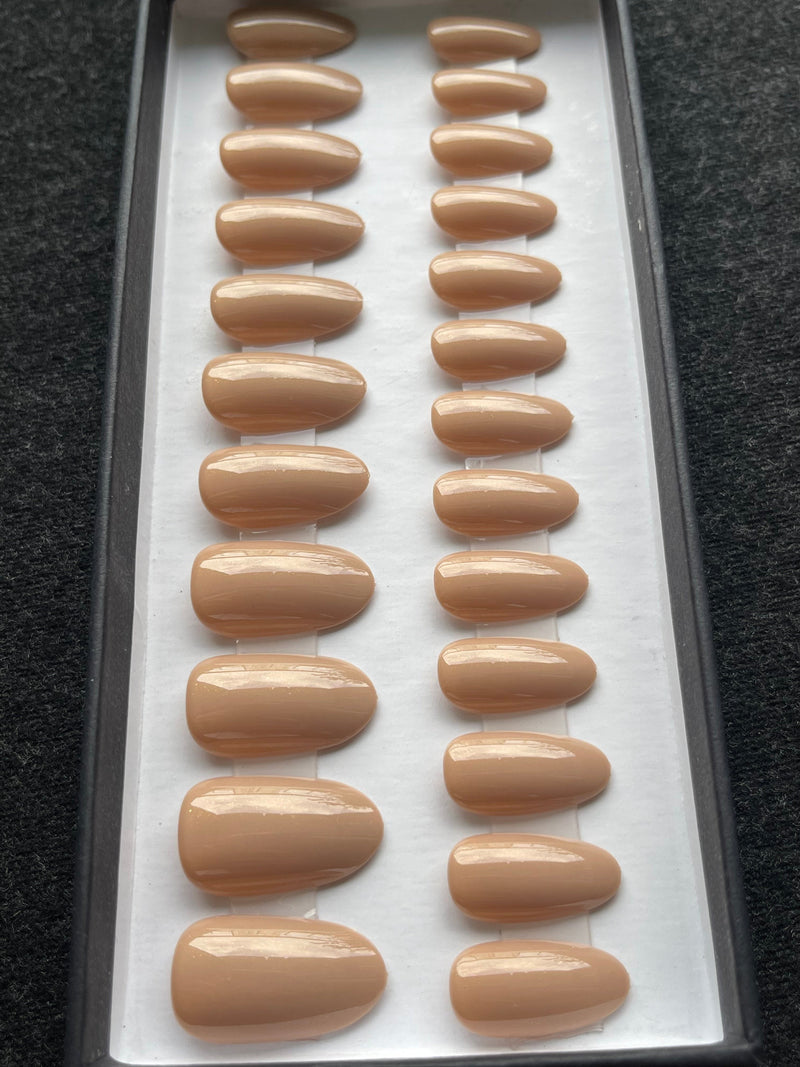 Pale Brown - Glossy Amande